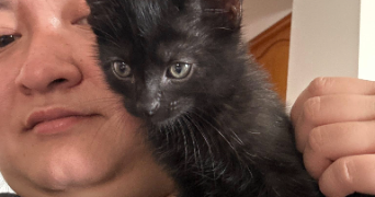 hellevise pet sitter à EPINAL 88000_1