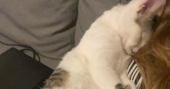 noa pet sitter à CHATOU 78400_2
