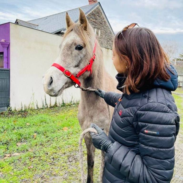 aude pet sitter à Soulaire et bourg 49460_2