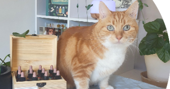 julia pet sitter à DIGNE LES BAINS 04000_3