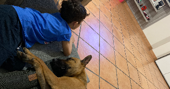 lydie pet sitter à CROLLES 38920_1