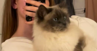 nora pet sitter à GOZÉE 6534_4