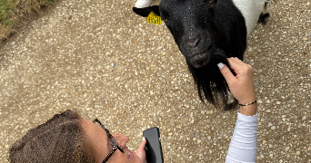 mathilde pet sitter à VILLEBON SUR YVETTE 91140_2