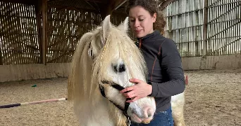 julie pet sitter à BENOUVILLE 14970
