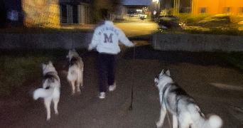 aymeric pet sitter à CALAIS 62100_5