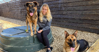 eléonore pet sitter à LA CRAU 83260_4