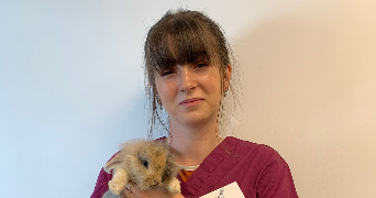 elsa pet sitter à ST CYR L ECOLE 78210_0