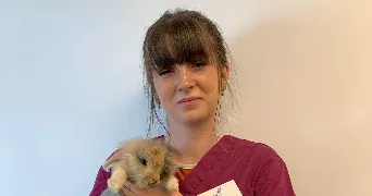 elsa pet sitter à ST CYR L ECOLE 78210