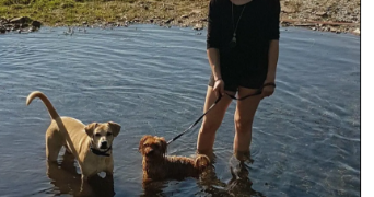 eloïse pet sitter à DERNANCOURT 80300_3