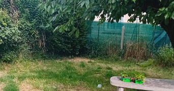 amelie pet sitter à PONTOISE 95300_1