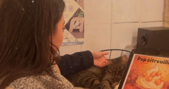 fatima zahra pet sitter à AVIGNON 84000_0