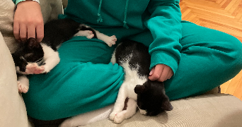 clémence pet sitter à MONTPELLIER 34070_1