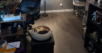 alexandre cat sitter à FACHES THUMESNIL 59155_5