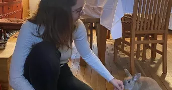 armony pet sitter à THIAIS 94320
