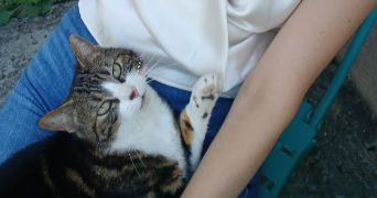 méline pet sitter à CHELLES 77500_1