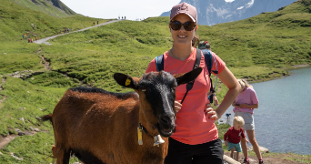 théodora pet sitter à WINTZENHEIM 68920_3