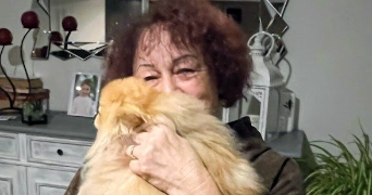 Béatrice pet sitter à PROVIN 59185_9
