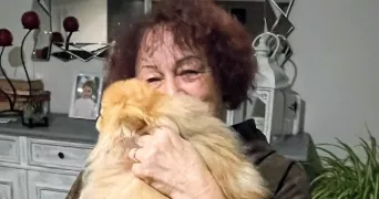 Béatrice pet sitter à PROVIN 59185