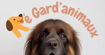 christine pet sitter à ARS EN RE 17590