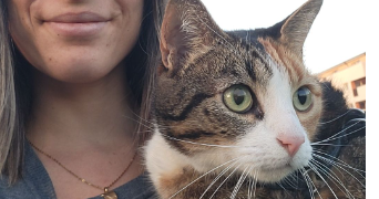 aude pet sitter à VILLENEUVE SUR LOT 47300_1