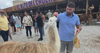 paul pet sitter à MARSEILLE 12 13012