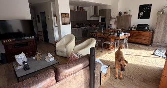 faustine pet sitter à CHALONS EN CHAMPAGNE 51000_2