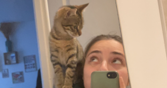 romane pet sitter à CHAVILLE 92370_0
