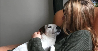 ella pet sitter à ST GRATIEN 95210_1