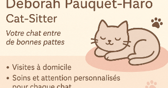 deborah cat sitter à CHAMPLIN 08260_0