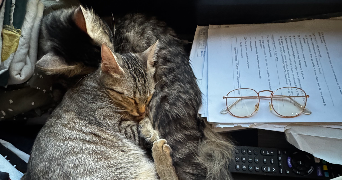 maël pet sitter à BOULOGNE BILLANCOURT 92100_1