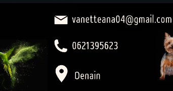 teana pet sitter à DENAIN 59220_3