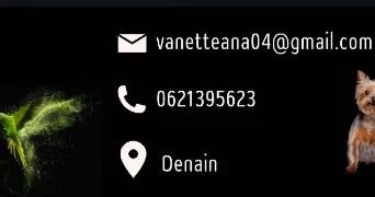 teana pet sitter à DENAIN 59220