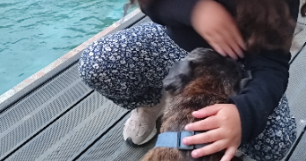sabrine pet sitter à ELANCOURT 78990_0