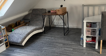 alexandre cat sitter à FACHES THUMESNIL 59155_1