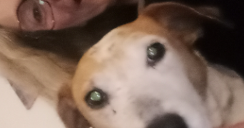 sylvie pet sitter à NANTES 44100_0
