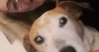 sylvie pet sitter à NANTES 44100