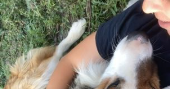 axelle pet sitter à PERPIGNAN 66000_1