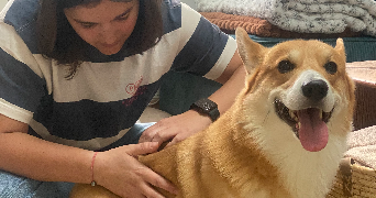 solenn pet sitter à CHATEL GUYON 63140_2