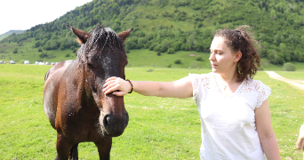 alizé dog sitter à EVREUX 27000_2