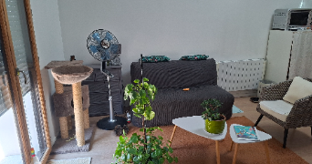 delphine pet sitter à COMBS LA VILLE 77380_4