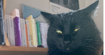 virginie pet sitter à IVRY SUR SEINE 94200_2