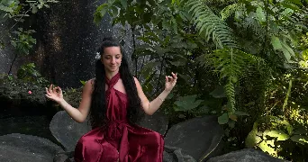 lola pet sitter à ANNEMASSE 74100