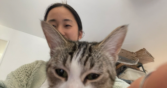 ally pet sitter à BOBIGNY 93000_0