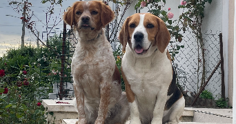 tatiana pet sitter à CHARTRES 28000_1