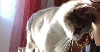 clarisse pet sitter à JACOU 34830_2