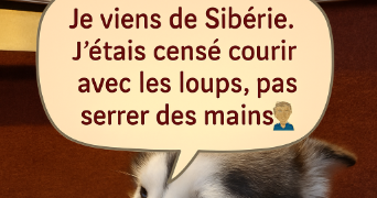 andrea pet sitter à PARIS 11 75011_7