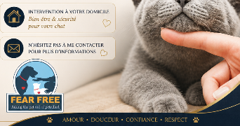 audrey pet sitter à NICE 06300_2