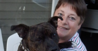 liliane dog sitter à VIRE NORMANDIE 14500_0