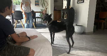 cecile pet sitter à CHAMPIGNY SUR MARNE 94500_8