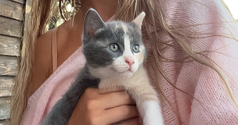 alycia pet sitter à AIX EN PROVENCE 13100_1